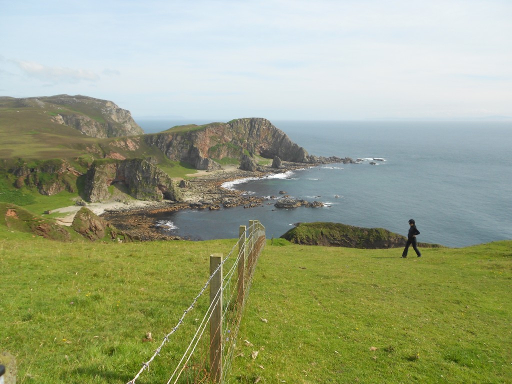Fence at Mull of Oa