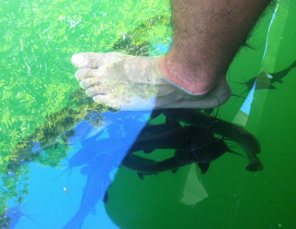 Dip your feet in for a complementary catfish pedicure!