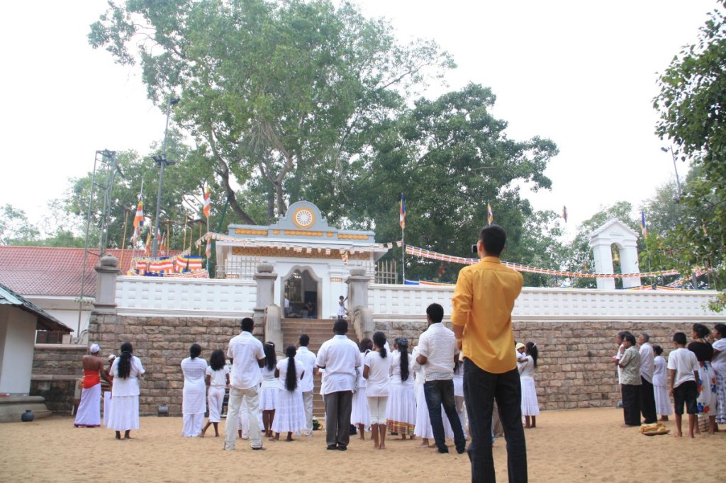 Photographing the Bodhi tree while Sri Lankans pray around me.