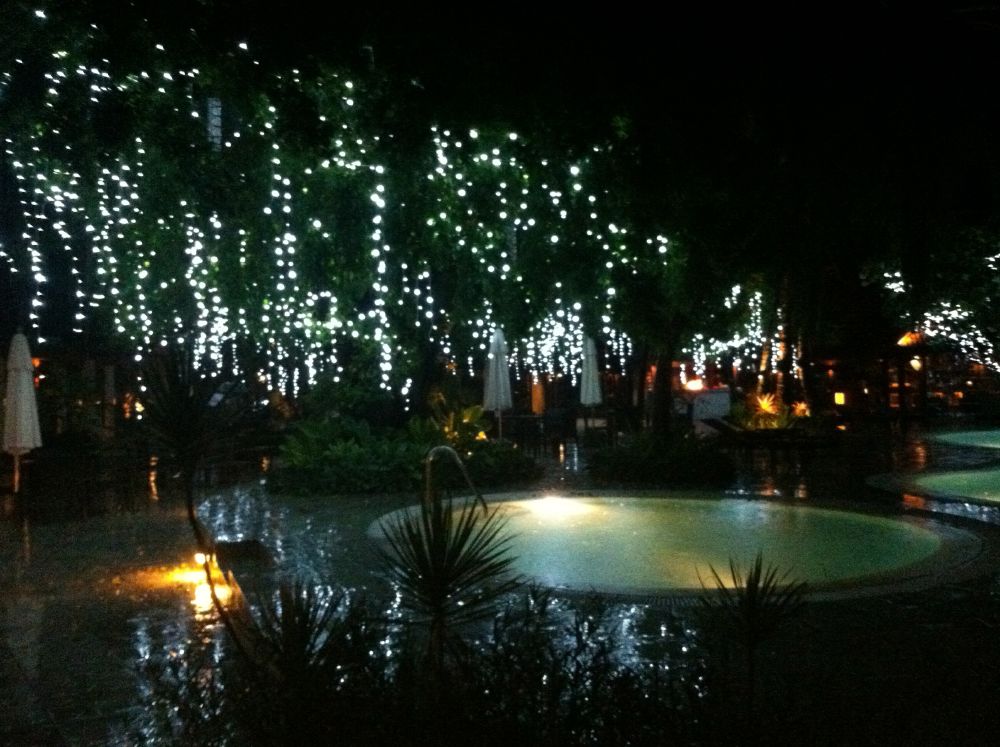 Christmas lights and palm trees make for a romantic atmosphere.