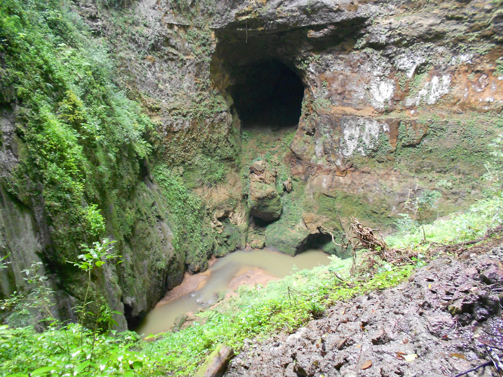 Rio Camuy flowing and slowly enlarging the cave system below.