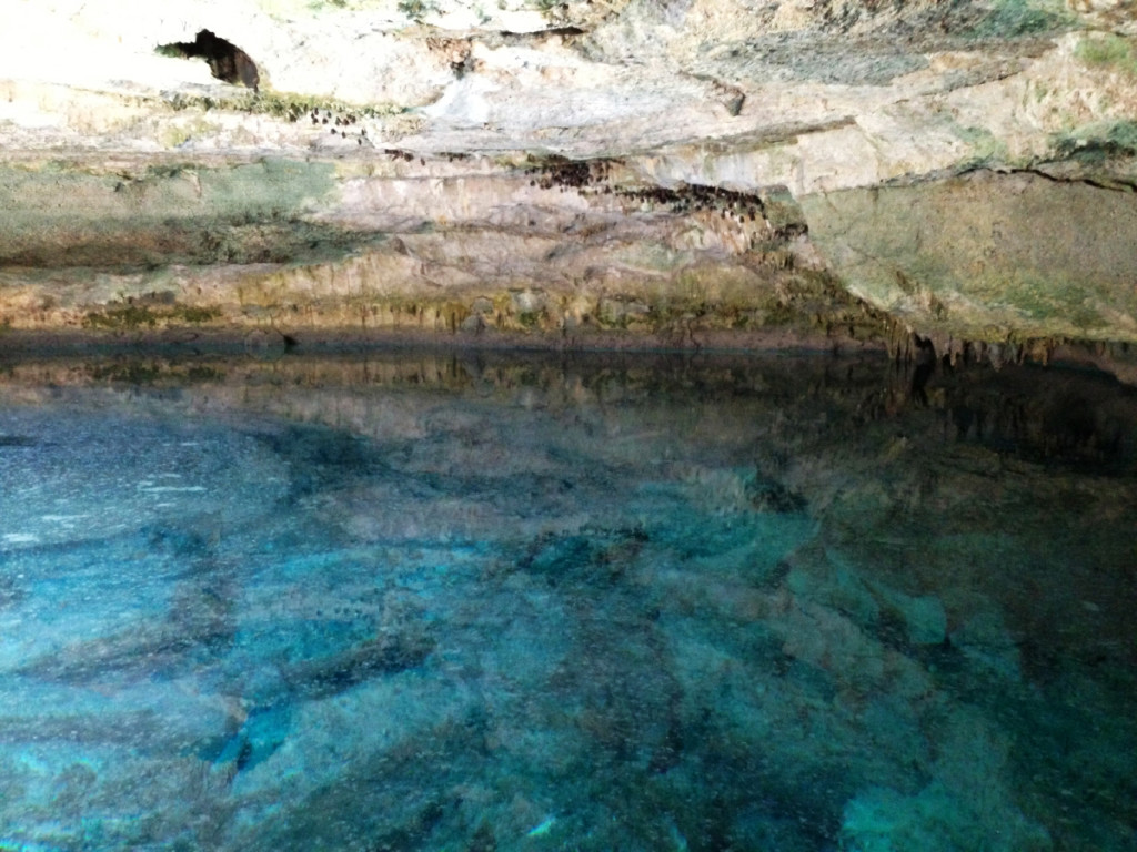The black dots are the bats and the dark hole in the water is the cave you can dive into.
