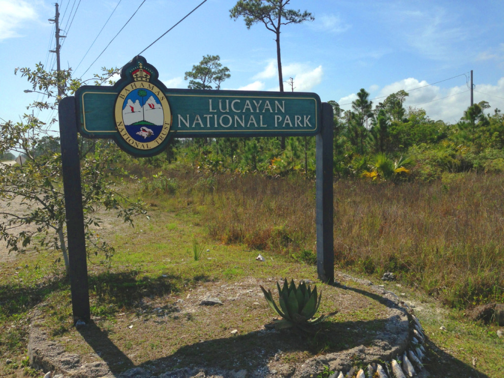 Lucayan National Park.
