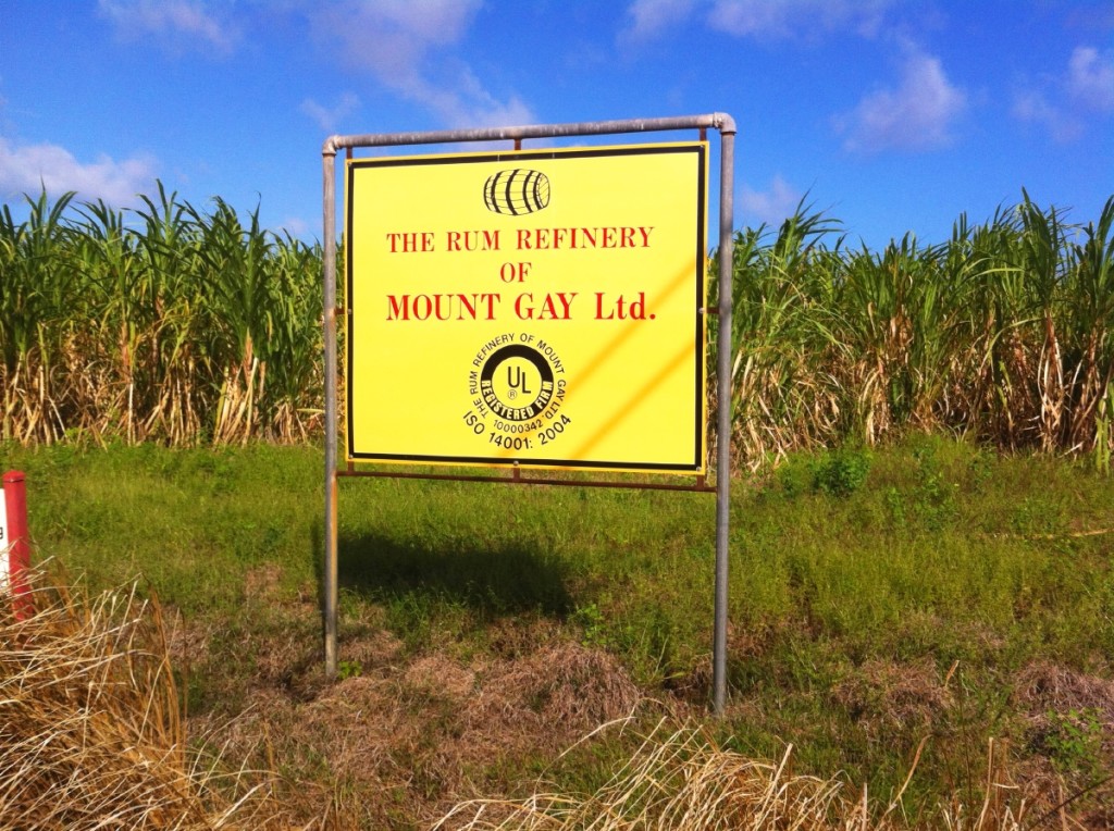 The oldest existing rum, Mount Gay.