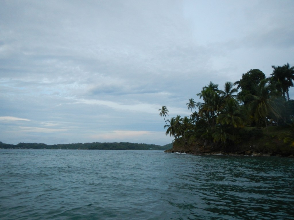 Island palms and the caribbean sea.