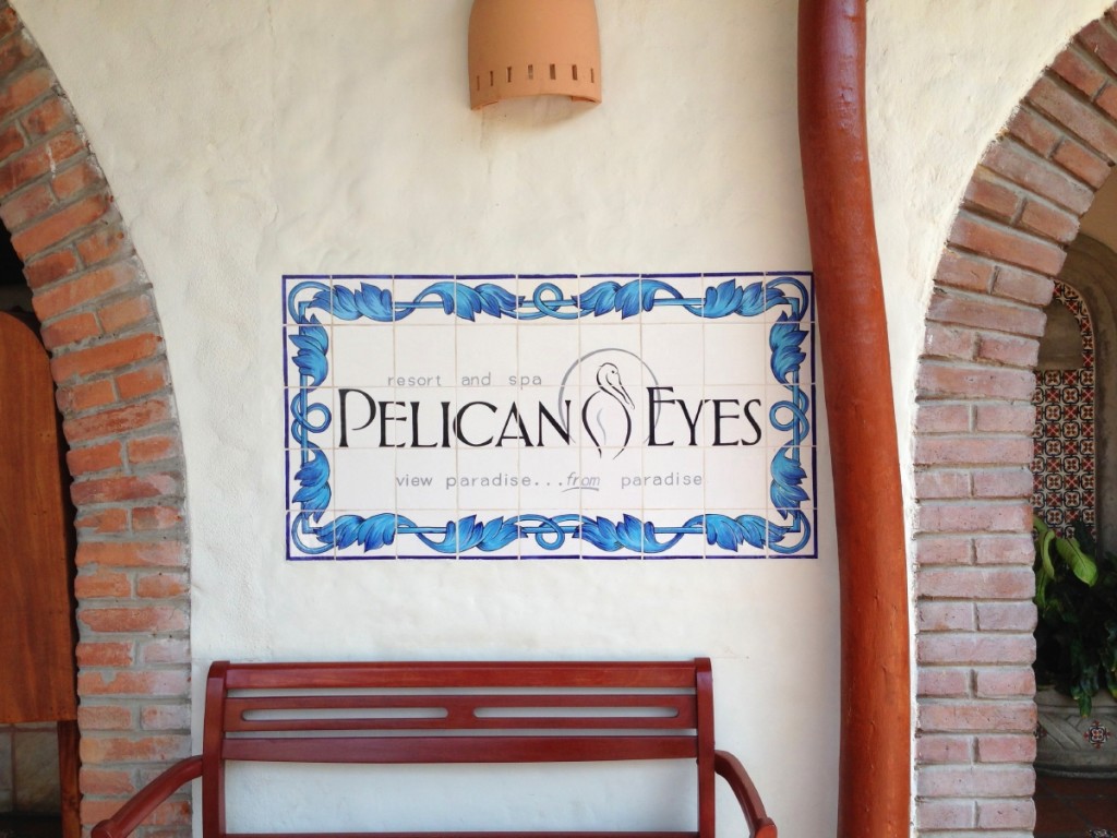 Reception at the Pelican Eyes.